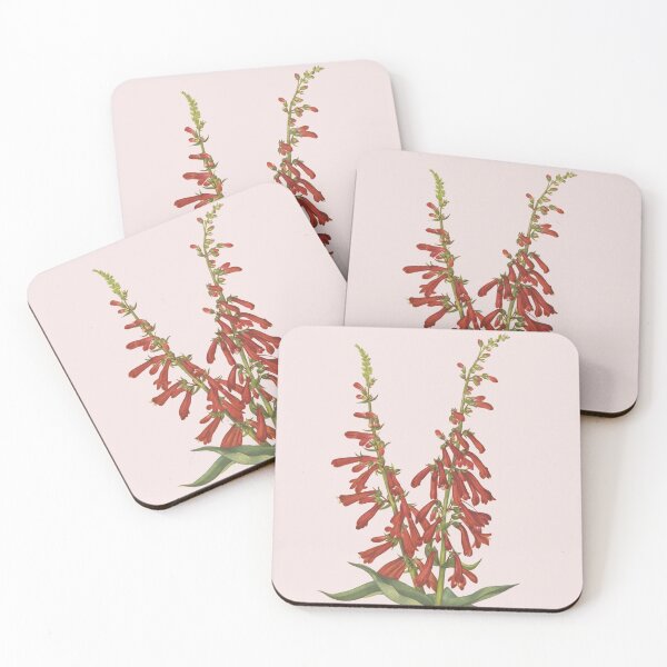 Item preview, Vintage Botanical Flower Art - Firecracker Penstemon - Beardtongue - Penstemon eatonii designed and sold by AlleghenyDesign.