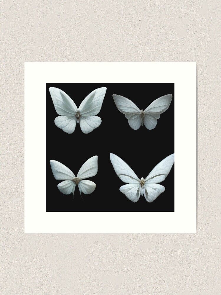 four white butterflies  Art Print for Sale by The flying carpet