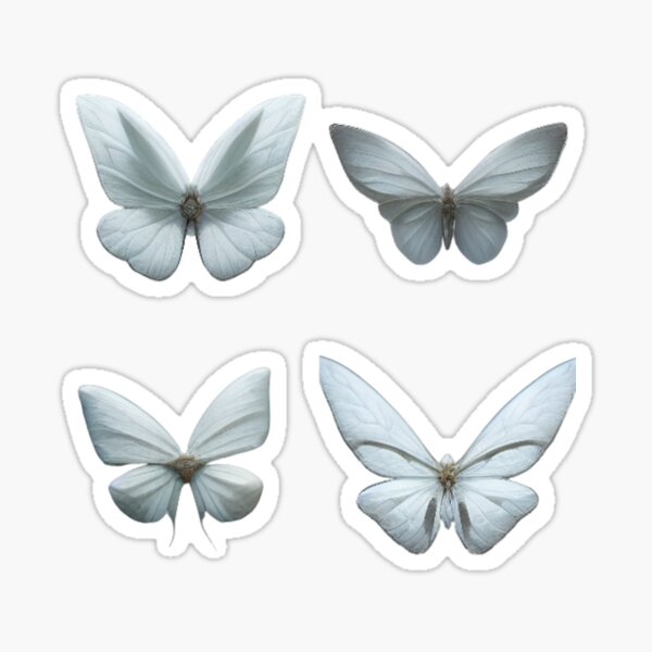 "four white butterflies " Sticker for Sale by mercoii Redbubble