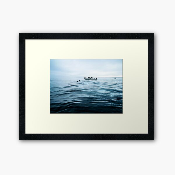 Dolphins in open sea Framed Art Print