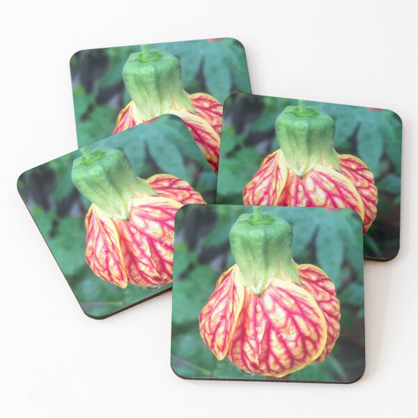 Item preview, Hanging Tender Christmas Bud of the Flowering Maple designed and sold by Photomersion.