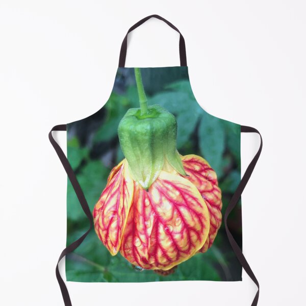 Item preview, Hanging Tender Christmas Bud of the Flowering Maple designed and sold by Photomersion.
