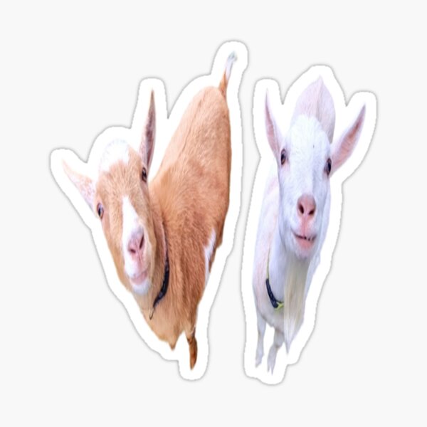 Item preview, Beloved Goats (RIP) designed and sold by snickles1977.