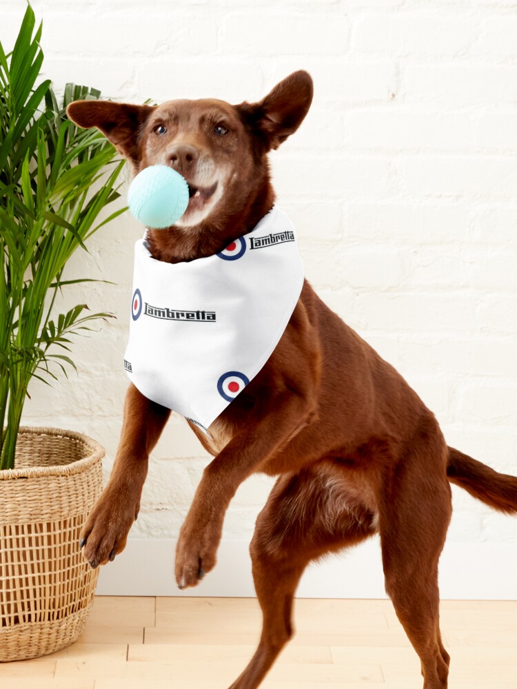 Cubs Dog Bandana 