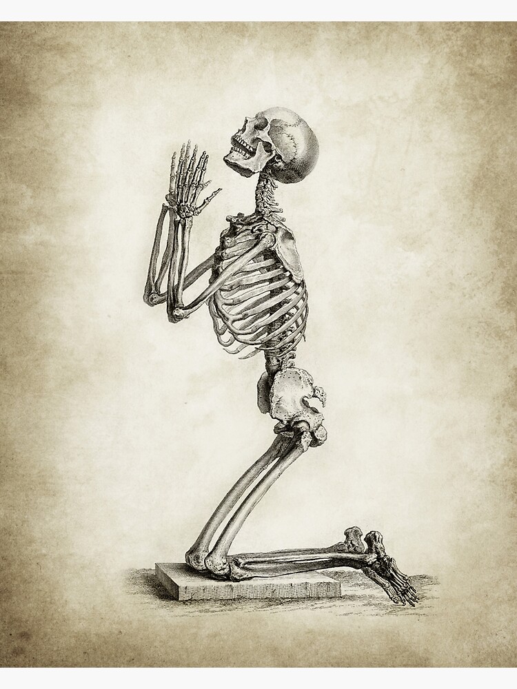 Skeleton In Prayer by Goshadron