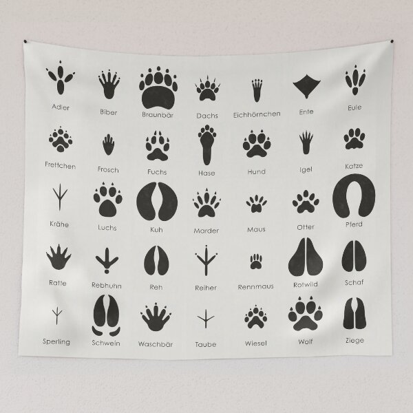 Item preview, Traces of native animals or animal tracks Display board / infographic (German) designed and sold by Iris Luckhaus.