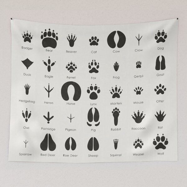Item preview, Common Animal Tracks Identification ID Chart designed and sold by Iris Luckhaus.
