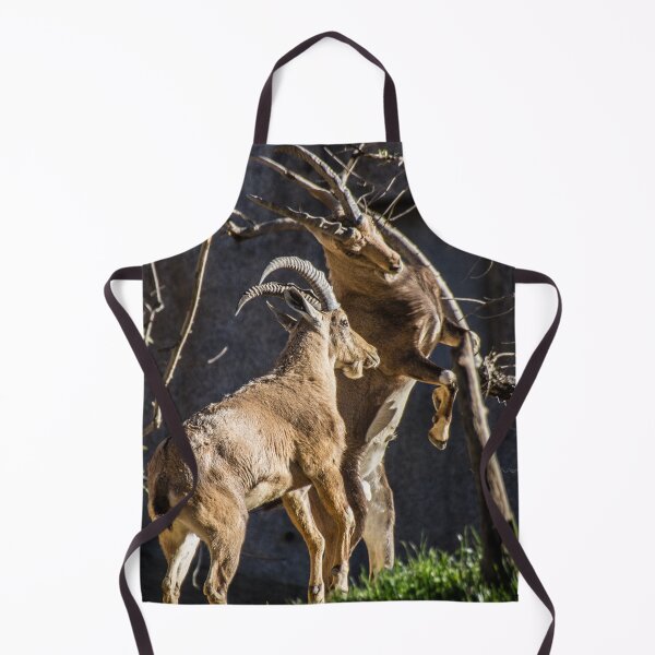 Item preview, Clash designed and sold by Wayne Thomson.