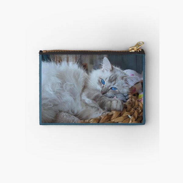 Item preview, Fluffy ragdoll cat Saoirseragdoll  designed and sold by Fluffycat2020.