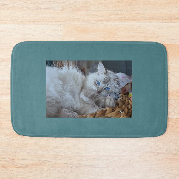 Item preview, Fluffy ragdoll cat Saoirseragdoll  designed and sold by Fluffycat2020.