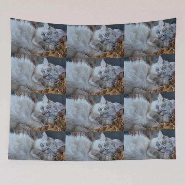 Item preview, Fluffy ragdoll cat Saoirseragdoll  designed and sold by Fluffycat2020.