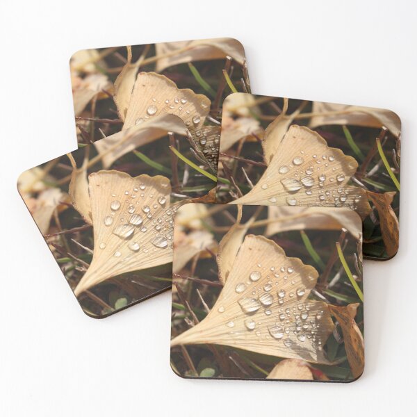 Item preview, Autumn Ginkgo designed and sold by vestdigimedia.