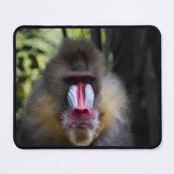 Item preview, Staring Contest designed and sold by Wayne Thomson.