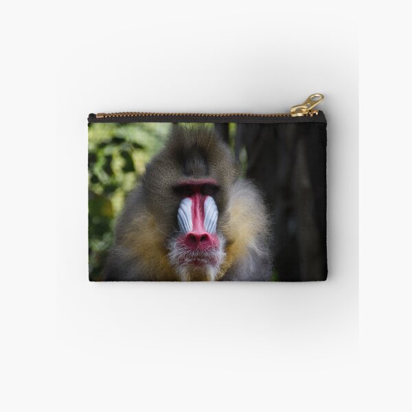 Item preview, Staring Contest designed and sold by Wayne Thomson.