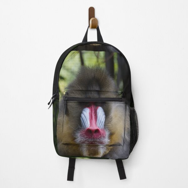 Item preview, Staring Contest designed and sold by Wayne Thomson.