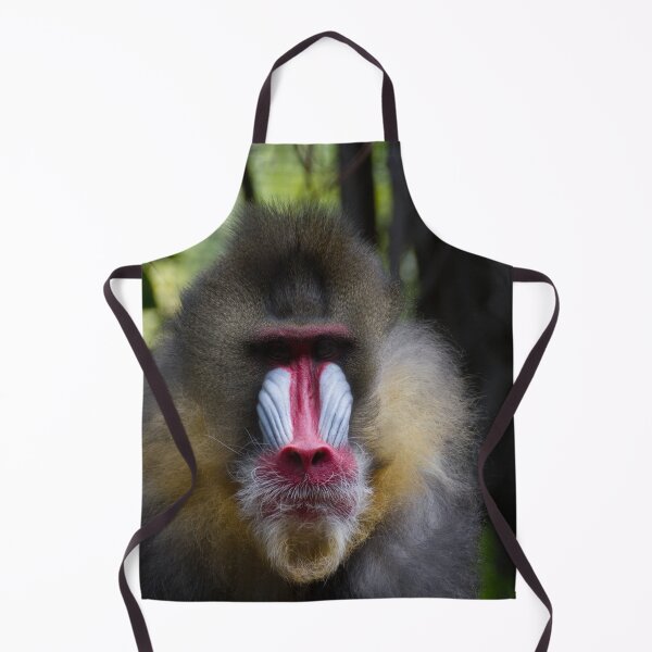 Item preview, Staring Contest designed and sold by Wayne Thomson.