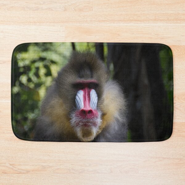 Item preview, Staring Contest designed and sold by Wayne Thomson.