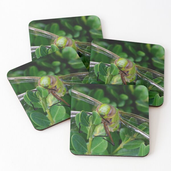 Item preview, Buggy Eyes designed and sold by Kathilee.