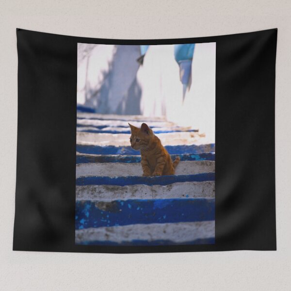 Item preview, Orange baby cat on stairs | wildlife photography designed and sold by Mii-pics.