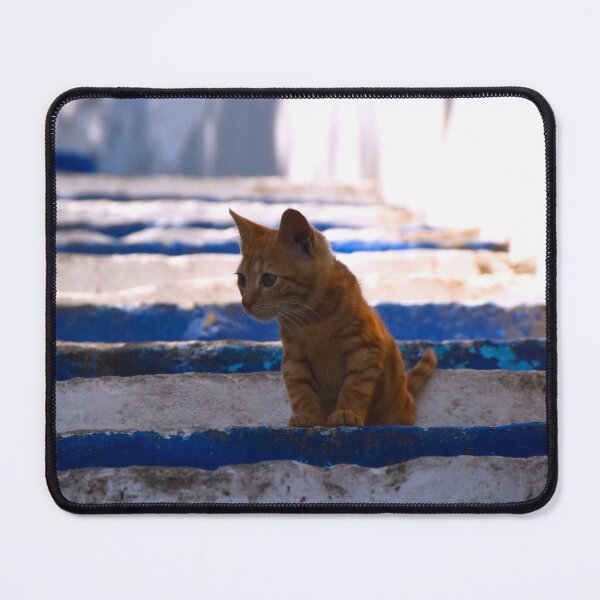 Item preview, Orange baby cat on stairs | wildlife photography designed and sold by Mii-pics.