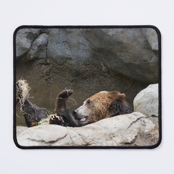 Item preview, It's a Bear to Bath designed and sold by Wayne Thomson.