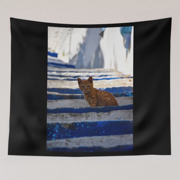 Item preview, Orange baby cat on stairs 2 | wildlife photography designed and sold by Mii-pics.
