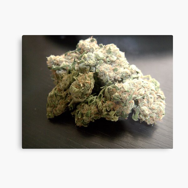 Dank Cookies Buds 420 Cannabis Ganja Metal Print