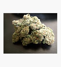 Dank Cookies Buds 420 Cannabis Ganja Photographic Print