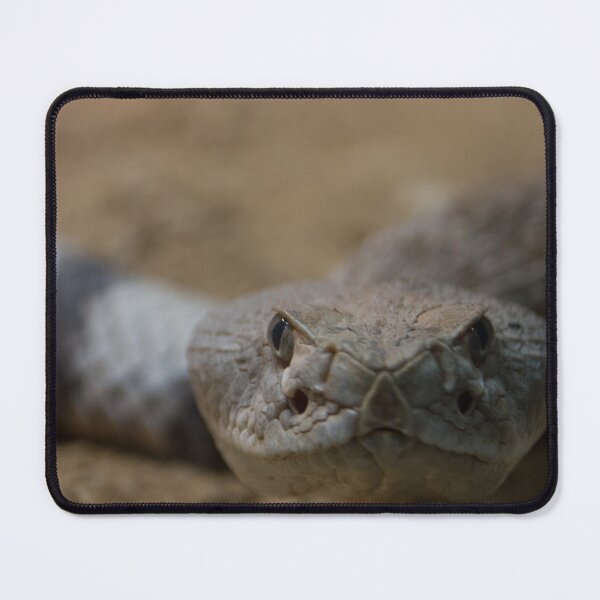 Item preview, If It Were A Snake... designed and sold by Wayne Thomson.