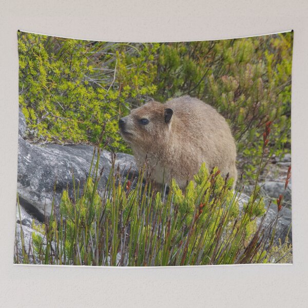 Item preview, Dassie Hyrax on top of Table Mountain, South Africa designed and sold by SafariByMarisa.
