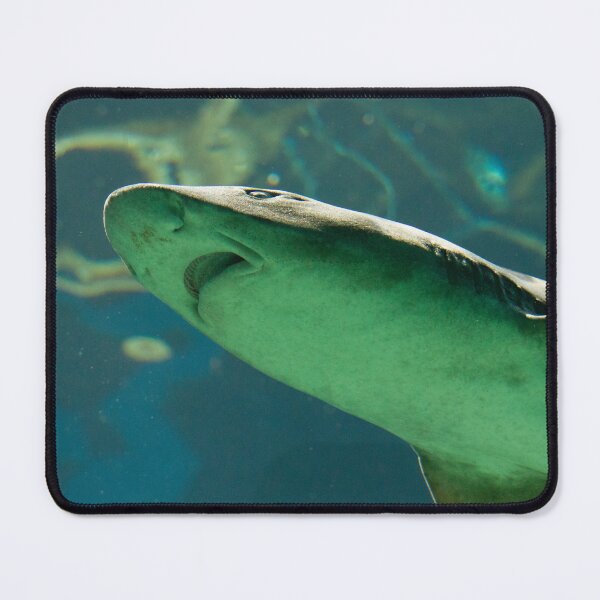 Item preview, Shark Agasp designed and sold by Wayne Thomson.
