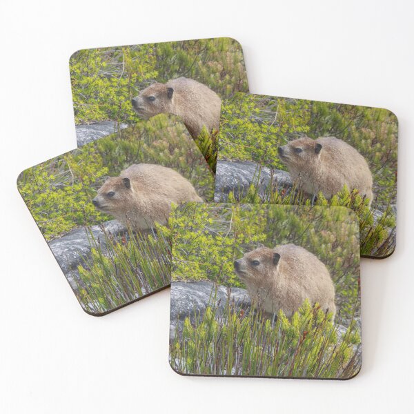 Artikelvorschau, Dassie Hyrax auf dem Tafelberg, Südafrika entworfen und verkauft von SafariByMarisa.