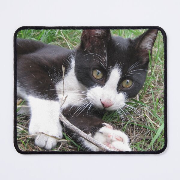 Item preview, Playful Cat designed and sold by Wayne Thomson.
