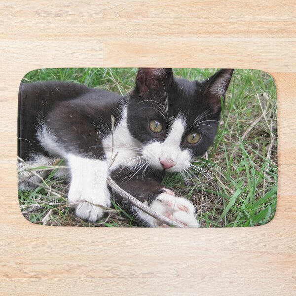 Item preview, Playful Cat designed and sold by Wayne Thomson.