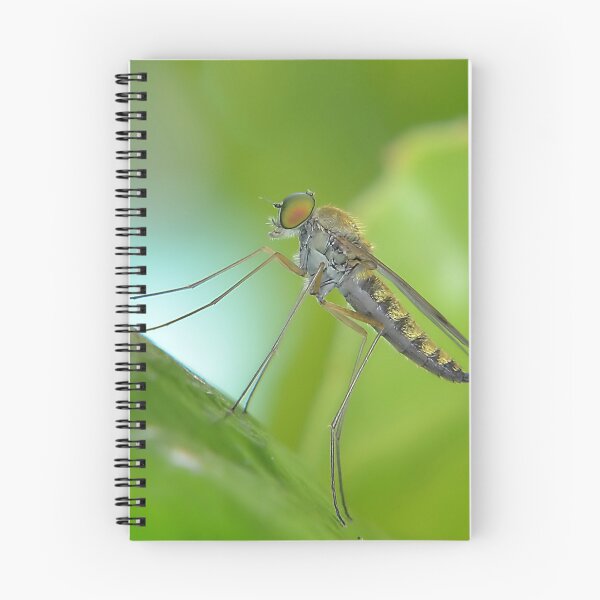 Item preview,  Little Bug designed and sold by relayer51.