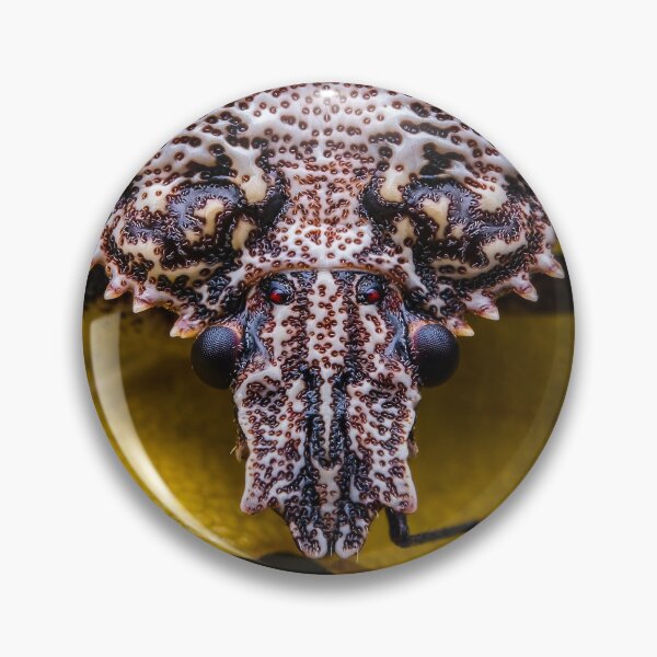 Item preview, Brown Marmorated Stink Bug - Halyomorpha Halys designed and sold by AronsTinySafari.