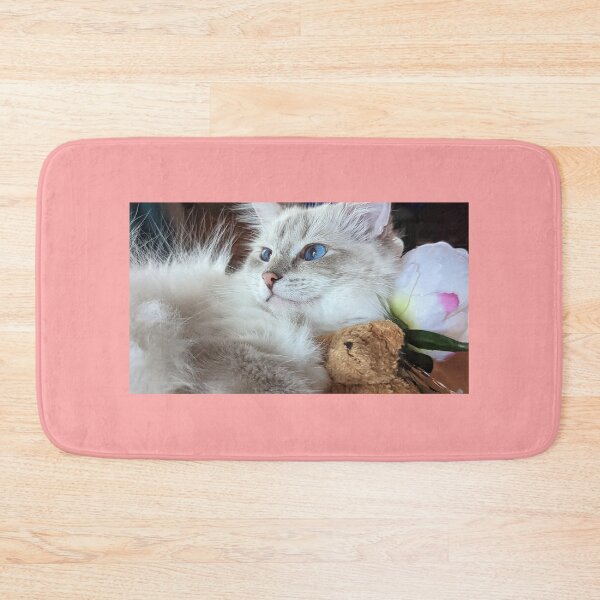 Item preview, Fluffy ragdoll cat Saoirseragdoll  designed and sold by Fluffycat2020.