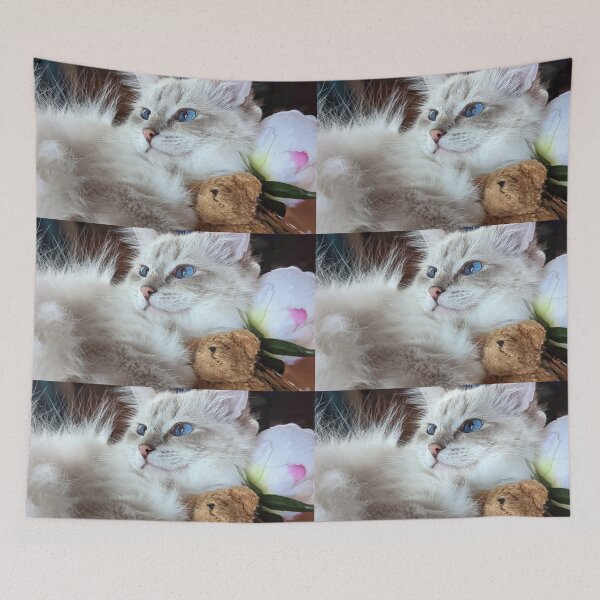 Item preview, Fluffy ragdoll cat Saoirseragdoll  designed and sold by Fluffycat2020.