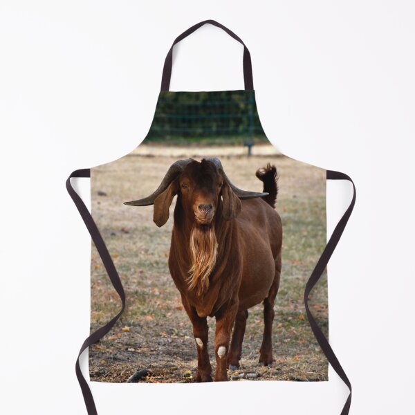 Item preview, friendly goat | wildlife photography designed and sold by Mii-pics.