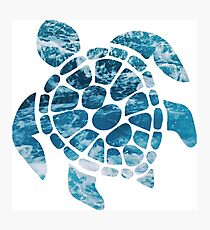 Ocean Sea Turtle Photographic Print