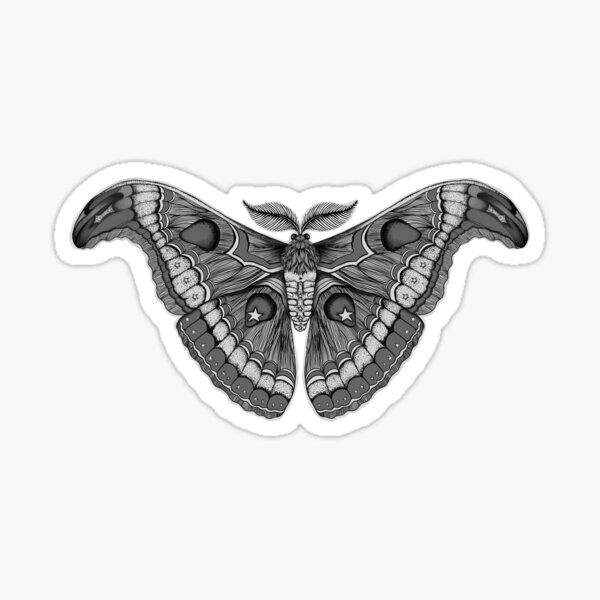 Vector drawing of a moth tattoo Monochrome  Stock Illustration  90116123  PIXTA
