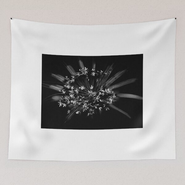 Item preview, Cyperus alternifolius designed and sold by vinciber.