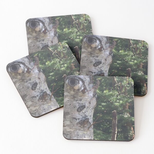 Item preview, The Seer—tree face looking at me… designed and sold by drumweaver.