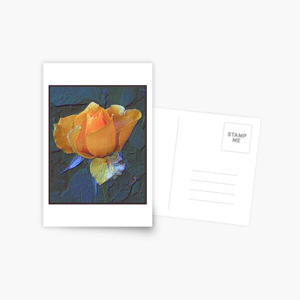 Textures of Love Postcard