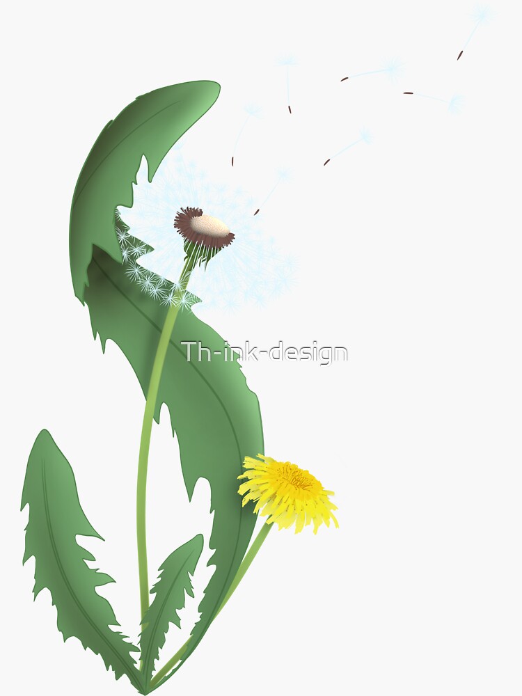 Dandelion flower seeds flight sticker