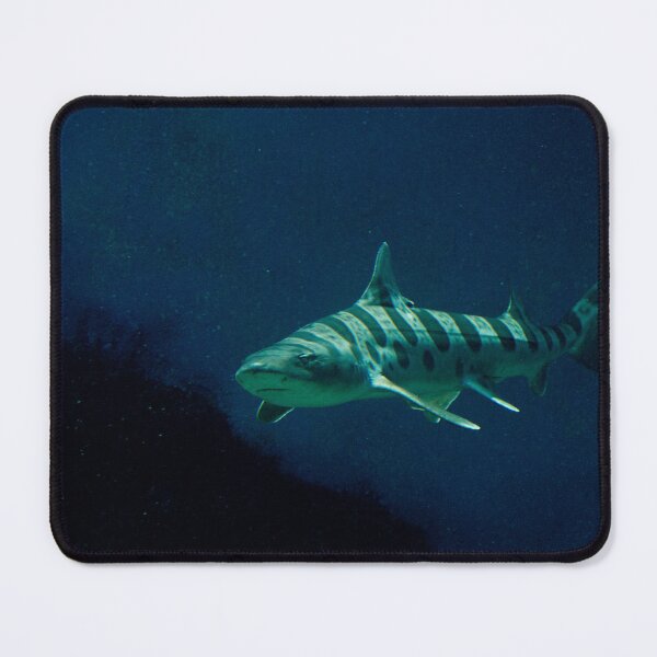 Item preview, Leopard Shark 2 designed and sold by Wayne Thomson.