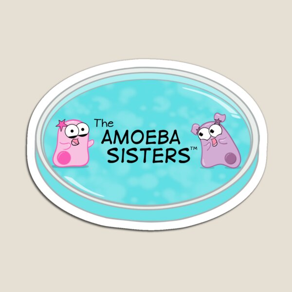 The Amoeba Sisters Magnet