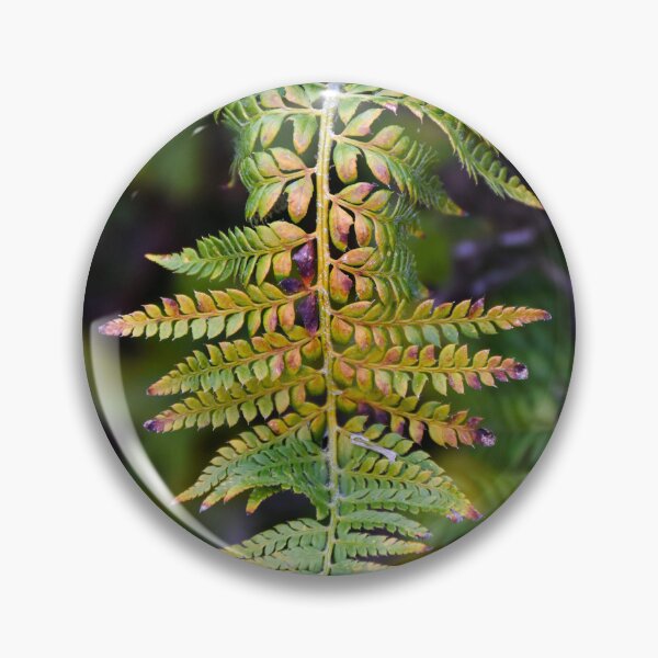 Item preview, fern | nature photography designed and sold by Mii-pics.