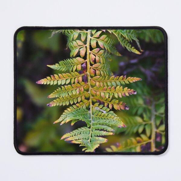 Item preview, fern | nature photography designed and sold by Mii-pics.