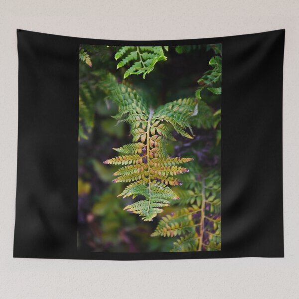 Item preview, fern | nature photography designed and sold by Mii-pics.